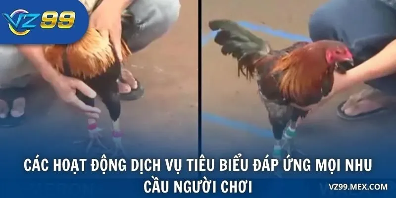 Các hoạt động dịch vụ tiêu biểu đáp ứng mọi nhu cầu người chơi