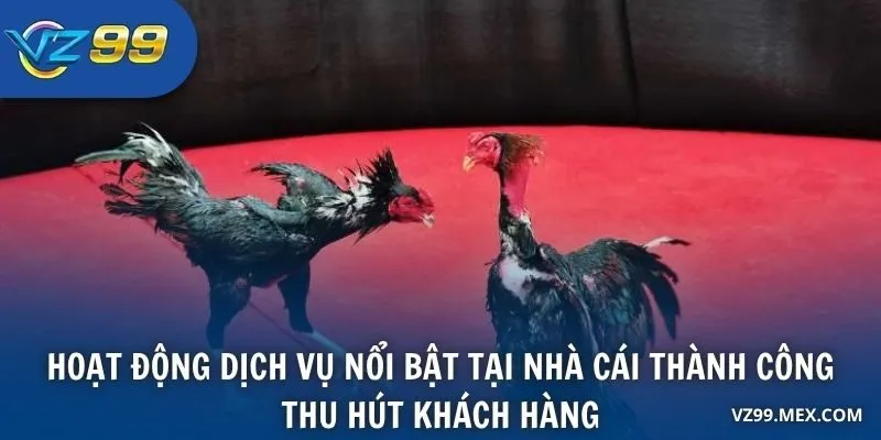 Hoạt động dịch vụ nổi bật tại nhà cái thành công thu hút khách hàng